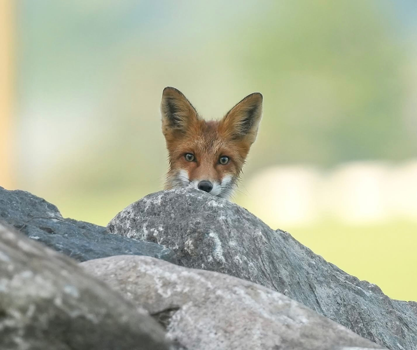 Loodus Lääneranna vallas