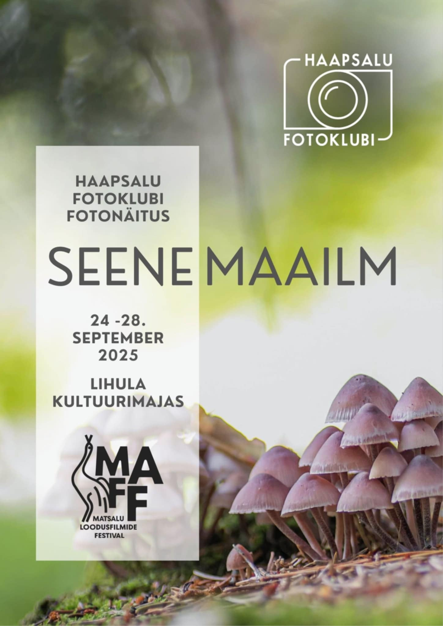 Haapsalu Fotoklubi fotonäituse “Seenemaailm” 